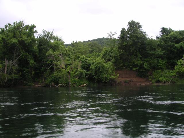 Lake view