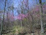 Snead Farm Hiking 037.jpg