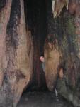 Big Bason Redwood Park 005.jpg